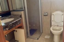 Carissa Park Condominium (D17), Condominium #553898901